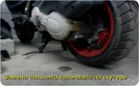 ������ �������� ��������� �� ������� (2010) DVDRip