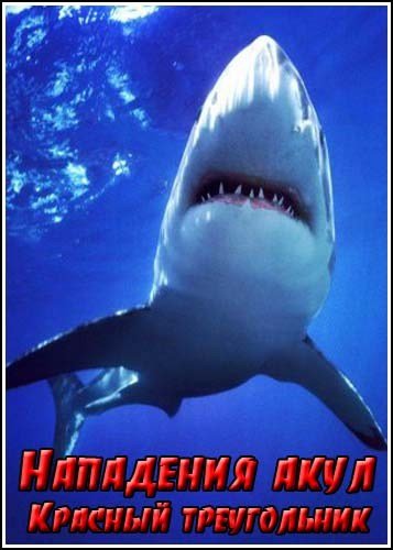 ��������� ����. ������� ����������� / Shark attack. The red triangle (2002) SATRip