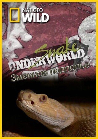 ������� �������� / Snake Underworld (2010) HDTVRip
