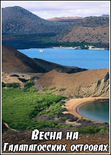 ����� �� ������������� �������� / Springtime in the Galapagos (2009) SATRip