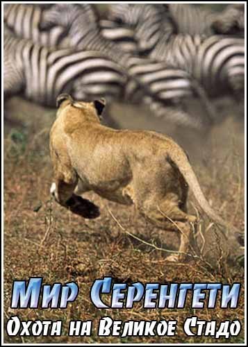 ��� ���������. ����� �� ������� ����� / Serengeti. Assault on the Megaherd (2008) SATRip