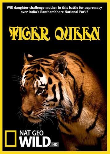�������� ������ / Tiger Queen (2010) SATRip