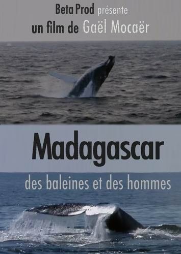 ����������: ���� � ���� / Madagascar: Des Baleines Et Des Hommes (2009) SATRip