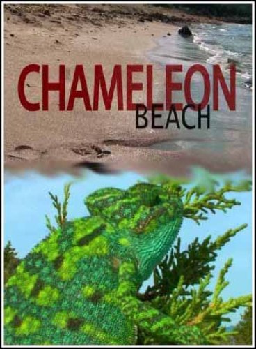 ���� ���������� / Chameleon Beach (2010) HDTVRip