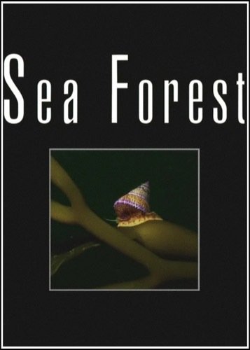 ������� ��� / Sea Forest (2005) HDTVRip