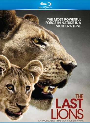 ��������� ���� / The Last Lions (2011/HDRip)