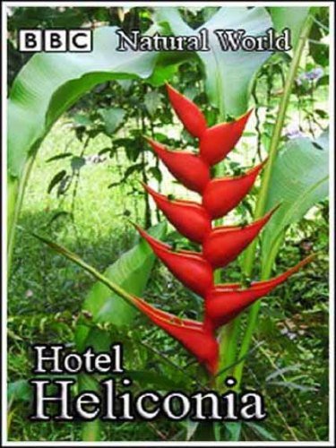 ��� �������. ����� ��������� / The Natural World. Hotel Heliconia (2001) SATRip