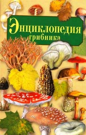 �������� �.�. ������������ �������� (2005) PDF