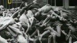 ������������ ������ ������ / Hitler's G.i. Death Camp (2011) Satrip