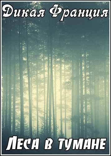 ����� �������. ���� � ������ / Wild France. Forests in the Mist (2011) TVRip