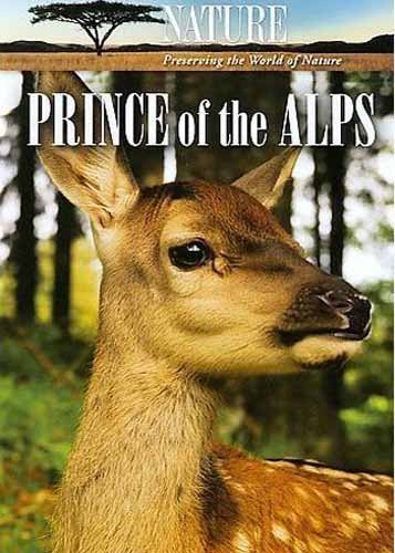 ����� ���� / Prince Of The Alps (2008) SATRip