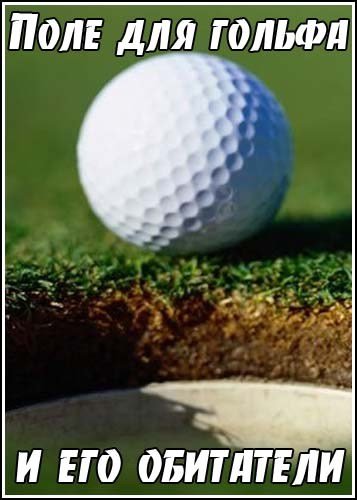 ���� ��� ������ � ��� ��������� / Golfing With Animals (2010) IPTVRip