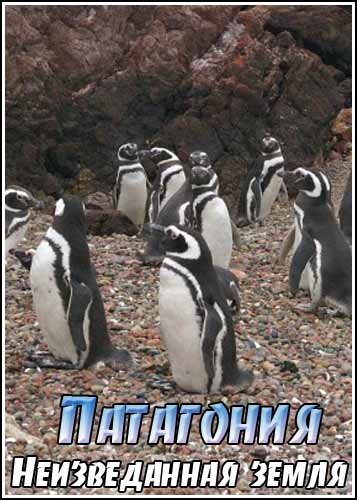���������. ������������ ����� / Kingdoms of Survival. Patagonia. The Land Unknown (1990) SATRip