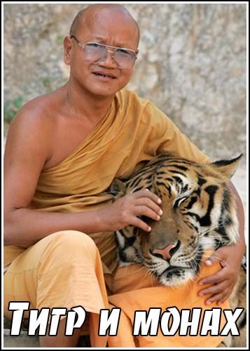 ���� � ����� / The tiger and the monk (2007) SATRip
