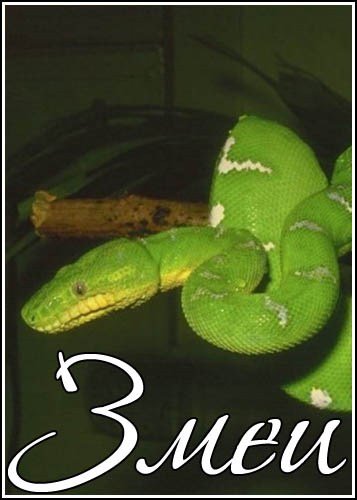 ���� / Serpent (2002) SATRip