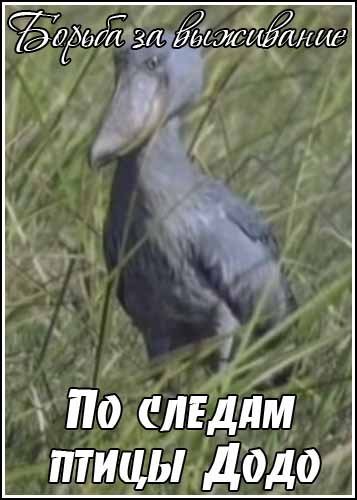 ������ �� ���������. �� ������ ����� ���� / Kingdoms of Survival. Almost a Dodo (1993) SATRip
