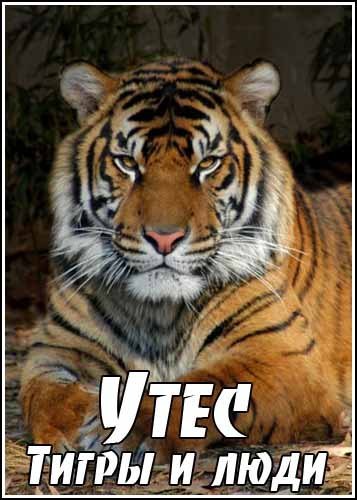 ����. ����� � ���� / Utes. Les Tigres et les Gens (2009) SATRip