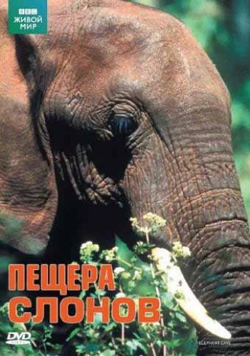 ����� �������. ������ ������ / Natural World. Elephant Cave (2003) SATRip