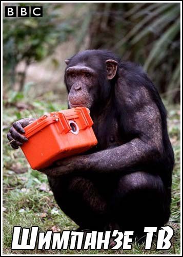 ��� �������. �������� �� / Natural World. Chimp TV (2010) SATRip