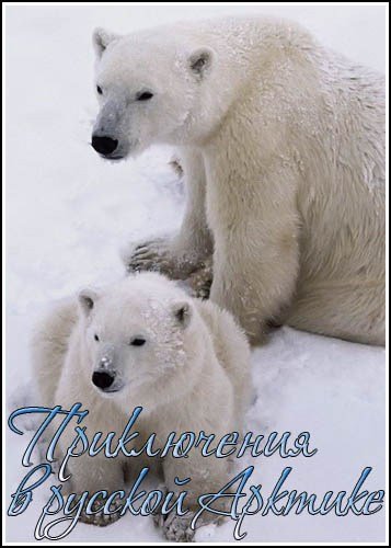 ����������� � ������� ������� / Among the Polar Bears - Adventure in Russia's Arctic (2009) SATRip