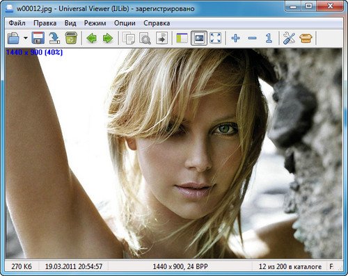 Universal Viewer Pro 6.3.0.0 (ATViewer) -  