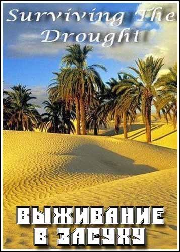 ��������� � ������ / Surviving The Drought (2007) HDTVRip