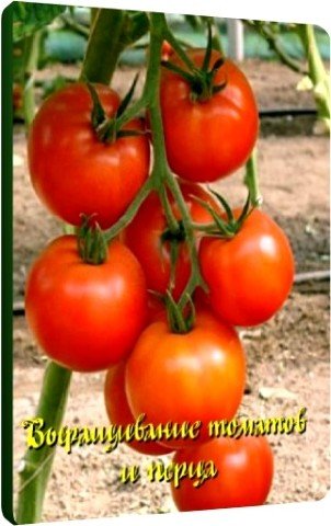 ����������� ������� � ����� (2011) DVDRip