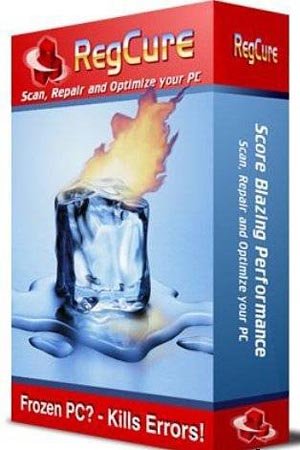 Paretologic Regcure Pro v3.1.0 + Portable (2011) 
