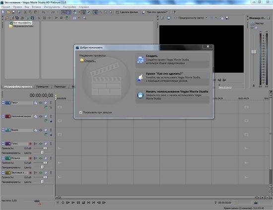 Vegas Movie Studio HD Platinum v.11.0.295 Rus Portable