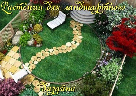 �������� ��� ������������ ������� (2011) DVDRip