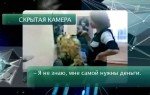 ����� ��������. ������� ��������? (2012) SATRip