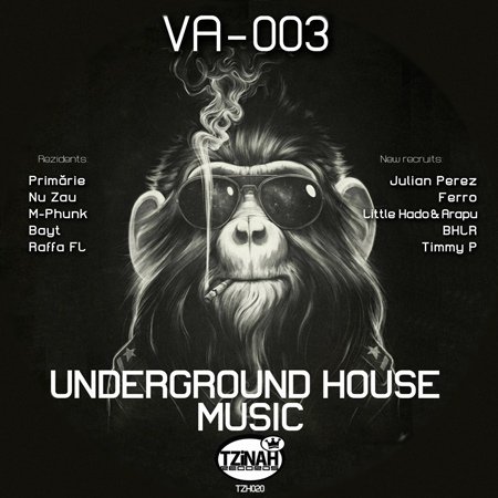 VA - Underground House Music 003 (2012) 