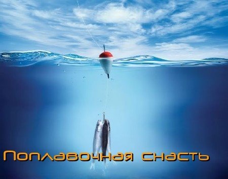 ����������� ������ (2011) DVDRip