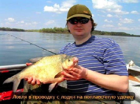 ����� � �������� �� ����������� ������ (2011) SATRip