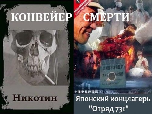 �������� ������: ������� / �������� ���������� "����� 731" (2004/2010/SATRip/TVRip)