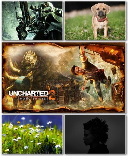 Best HD Wallpapers Pack 497