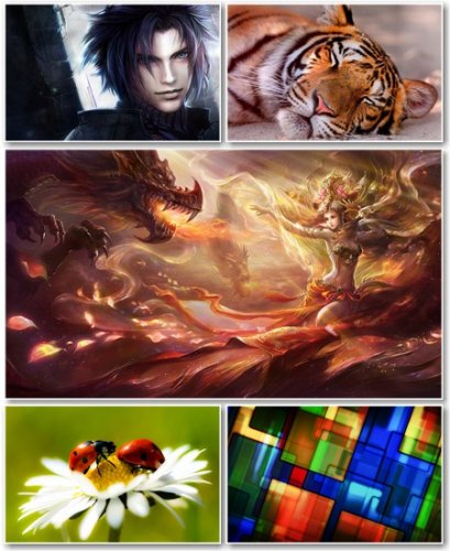 Best HD Wallpapers Pack 506
