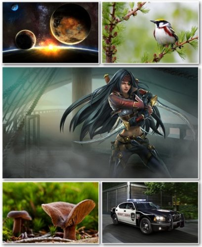 Best HD Wallpapers Pack 514