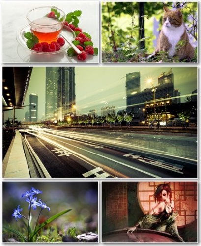 Best HD Wallpapers Pack 516