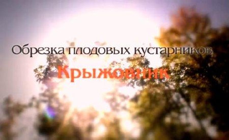 ��� ��������� �������� ���� ���������� (2011) DVDRip