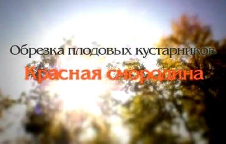 ��� ��������� �������� ���� ������� ��������� (2011) DVDRip