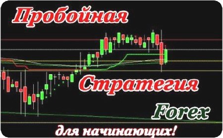 ��������� ��������� Forex ��� ���������� (2011) DVDRip