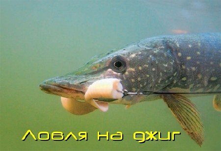 ����� �� ���� (2011) SATRip
