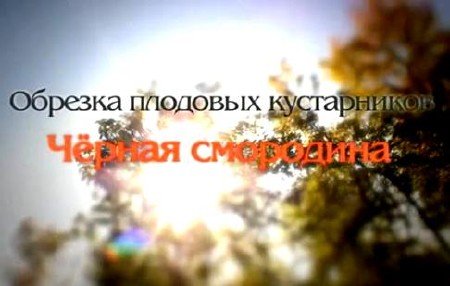 ������� �������� �����������. ������ ��������� (2011) DVDRip