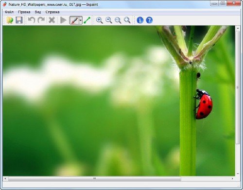 Teorex Inpaint 4.2 (2012/Rus)