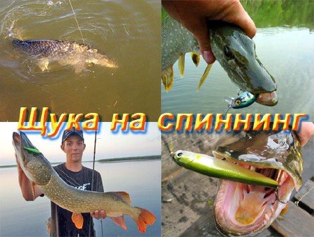 ���� �� �������� (2011) SATRip