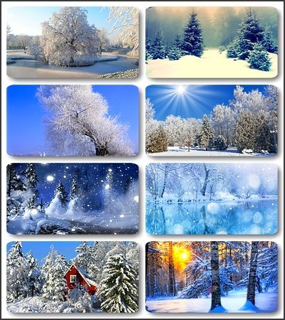  -   / 65 Photos of winter