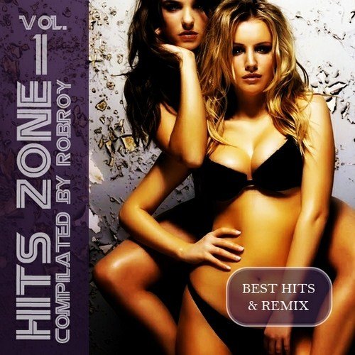 VA - Hits Zone Vol.1 (2012)