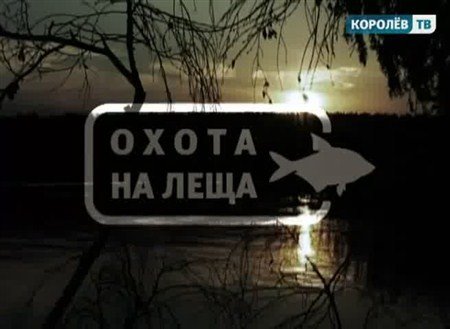 ����� �� ���� (2011 / TVRip)