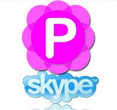 Pamela for Skype Basic 4.8.0.85